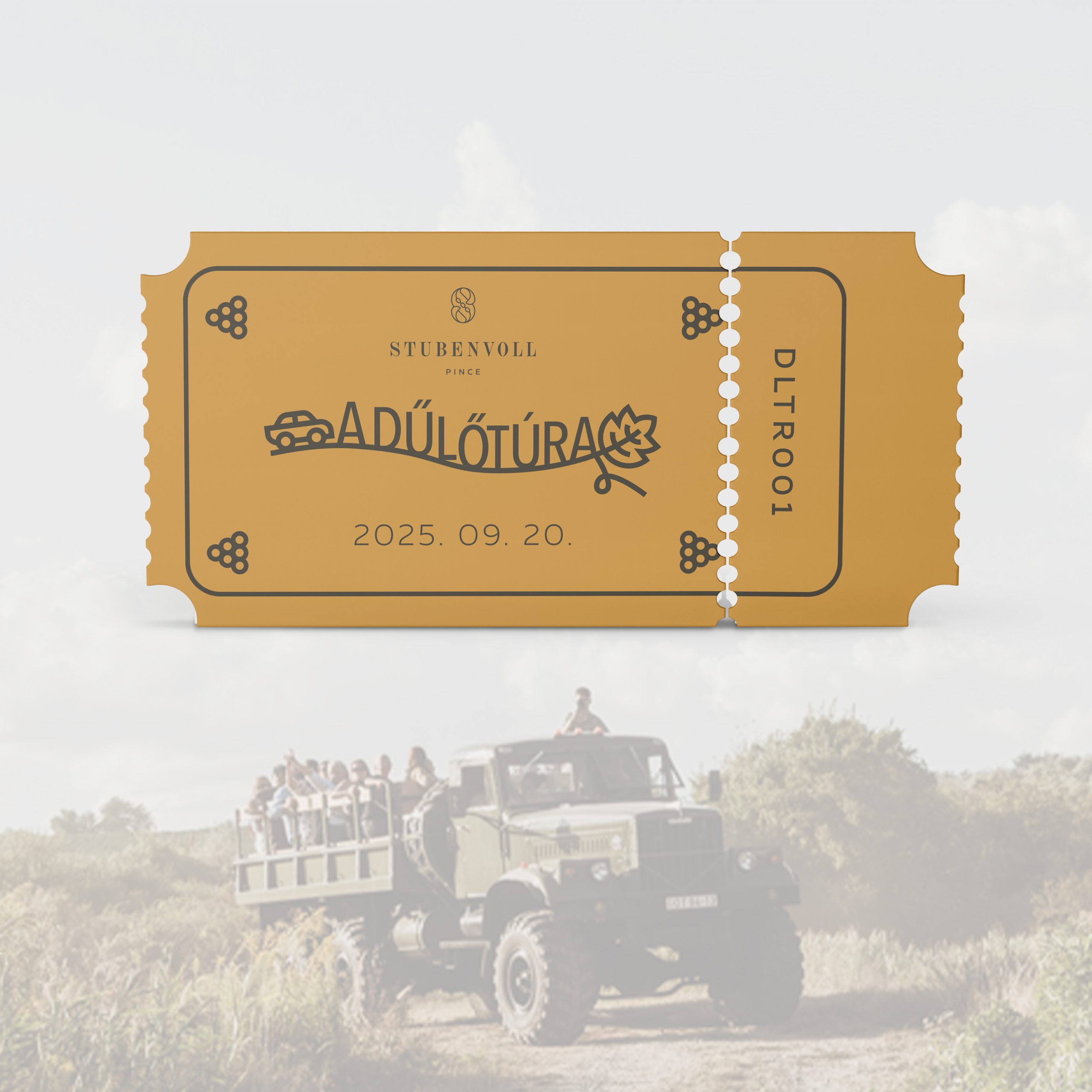 Ticket mockup webre